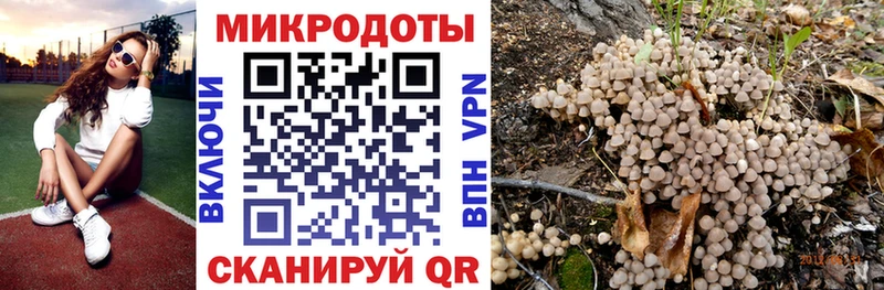 Галлюциногенные грибы Psilocybe  дарнет шоп  Нягань 